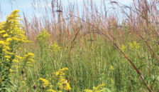 University Research Based Soil Health Resources No One Should be Without