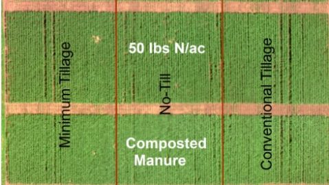 Utilizing composted beef feedlot manure in cropping systems