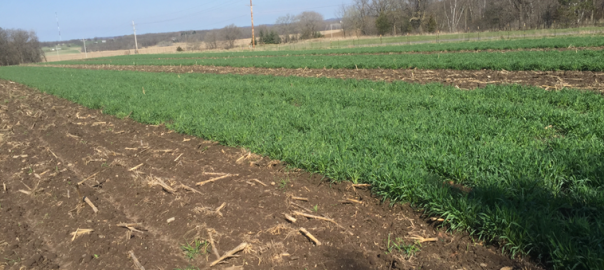 Now Available: 2017 National Conference on Cover Crops and Soil Health Presentations