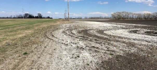 Perennial Salt-Tolerant Covers for Saline-Sodic Headlands in NE North Dakota