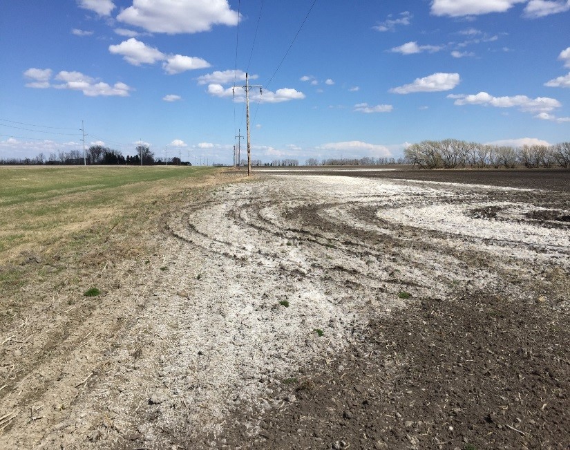 A saline-sodic headland along state Highway 5 East roadside ditch in Cavalier County, N.D.