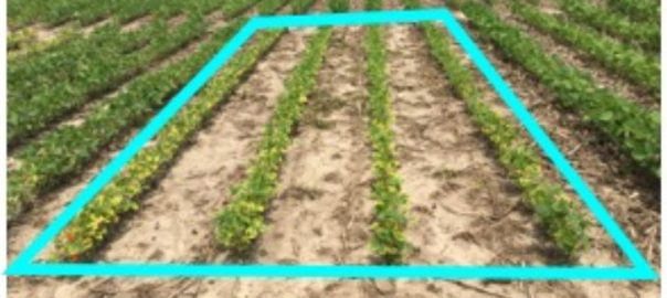 Maintaining soil fertility is important for soil health