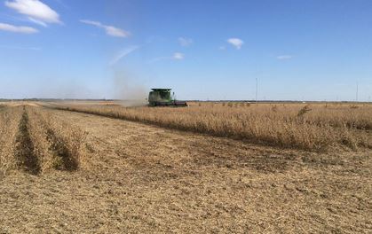 Soil Health Not Just a Trending Topic