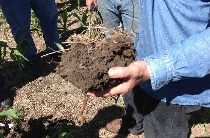 Building Soil Organic Matter Takes Time