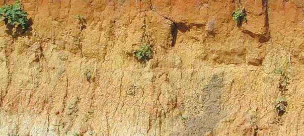 We’re at it Again, New Tool “Drawer” Available: Soil Physical Properties