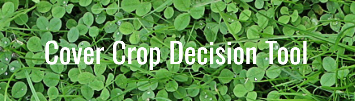 Improved tool can help Midwest farmers with cover crop decisions